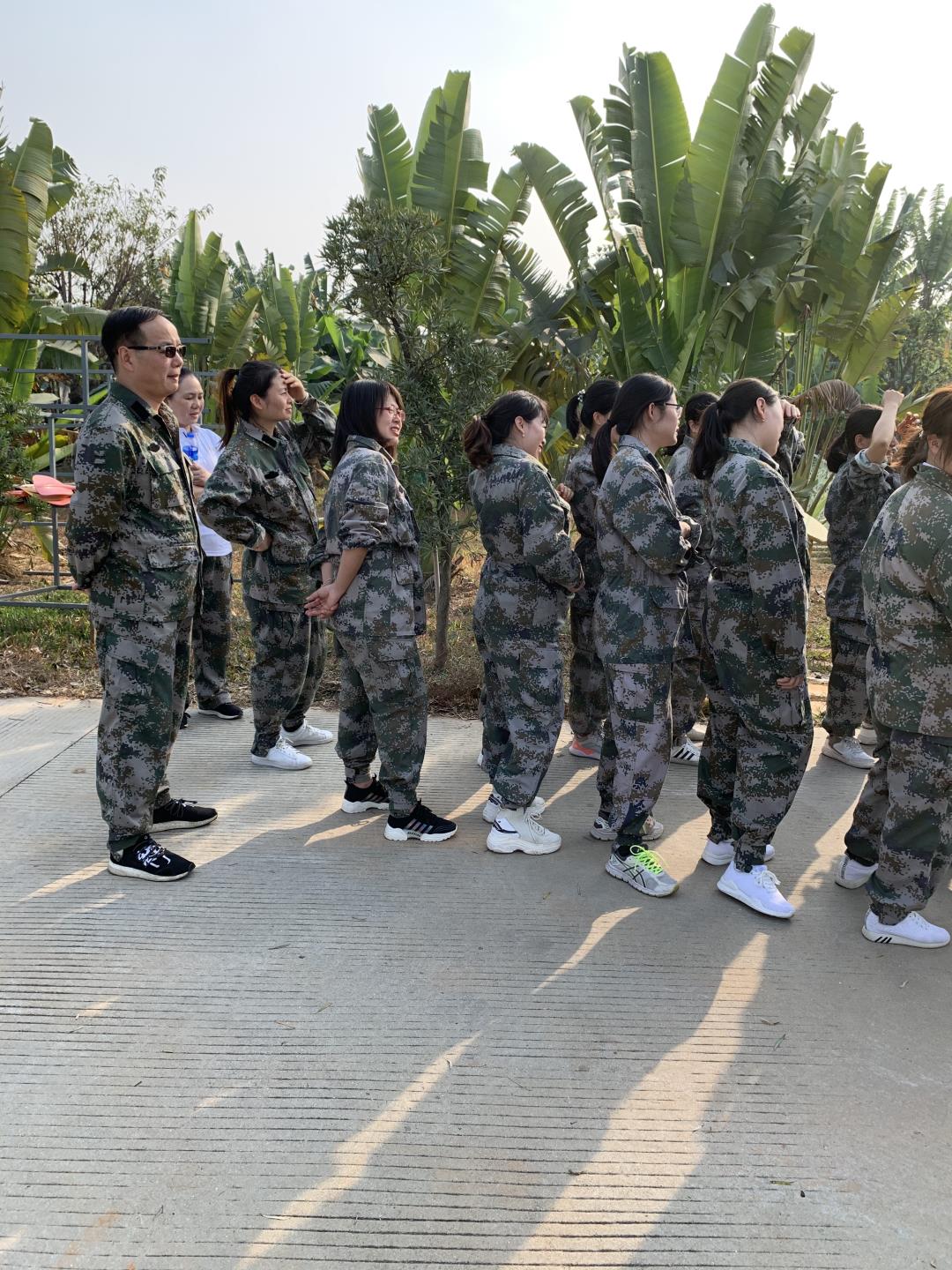 新奥2025年全年免费