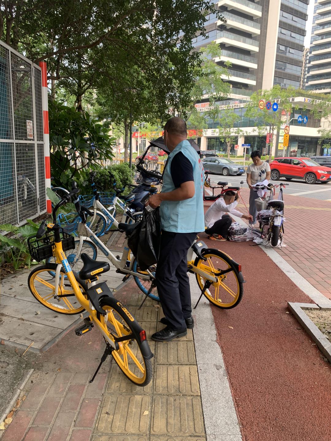 新奥2025年全年免费