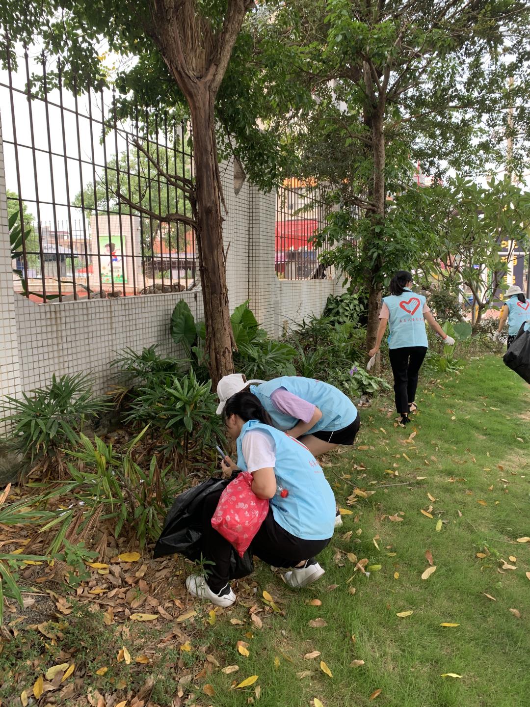 新奥2025年全年免费