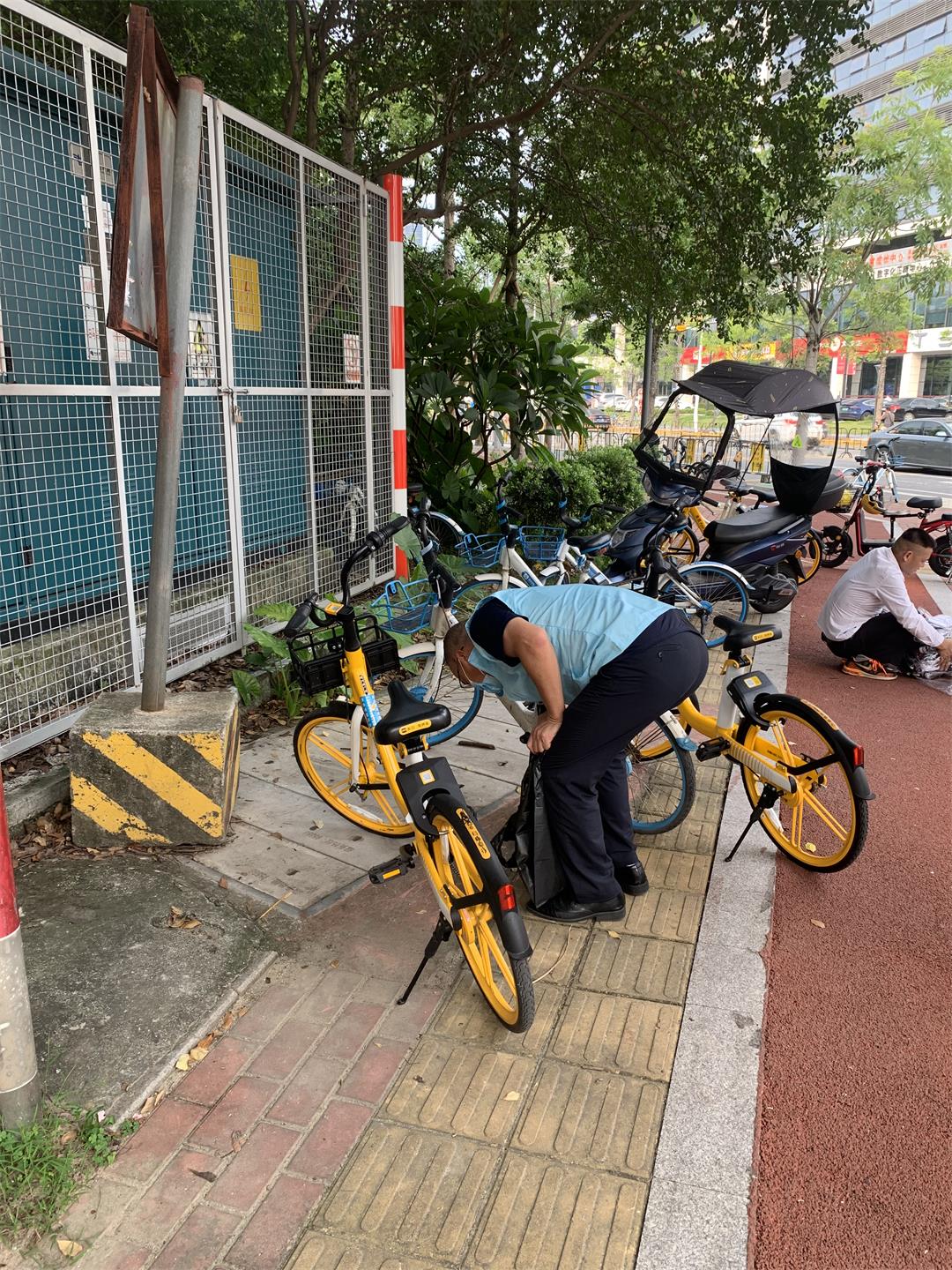 新奥2025年全年免费