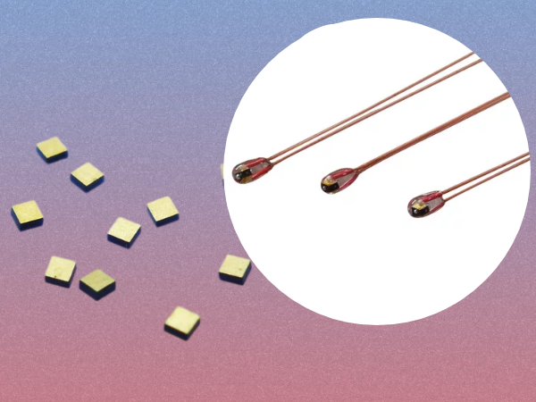 新奥2025年全年免费