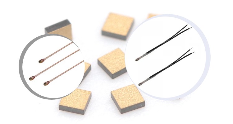 新奥2025年全年免费