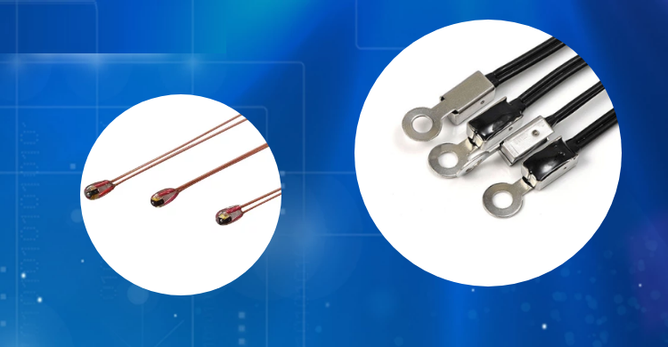 新奥2025年全年免费