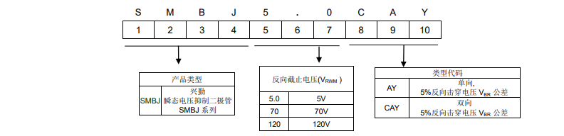 新奥2025年全年免费