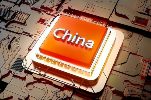 中国市场，存储芯片的“韭菜”