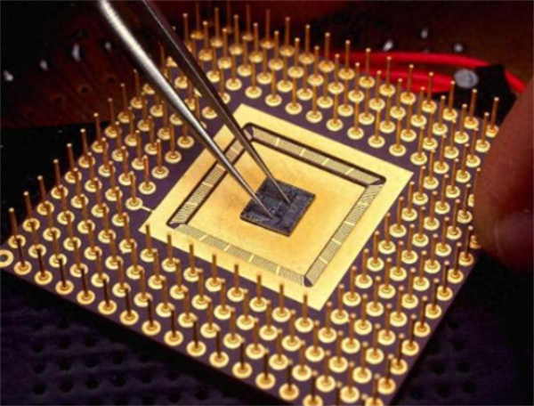 新奥2025年全年免费