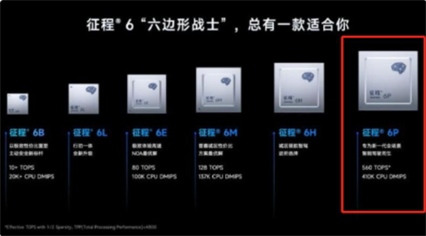 新奥2025年全年免费