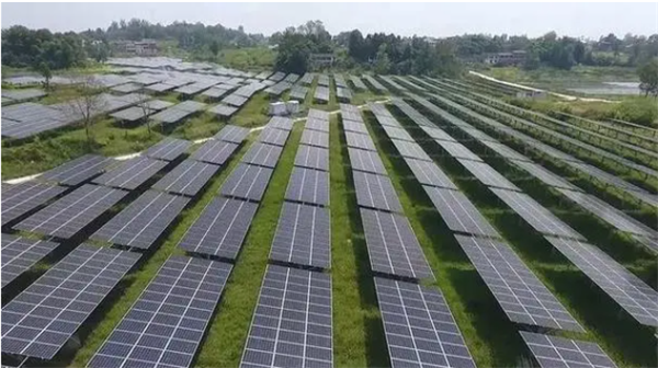 新奥2025年全年免费