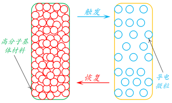 新奥2025年全年免费